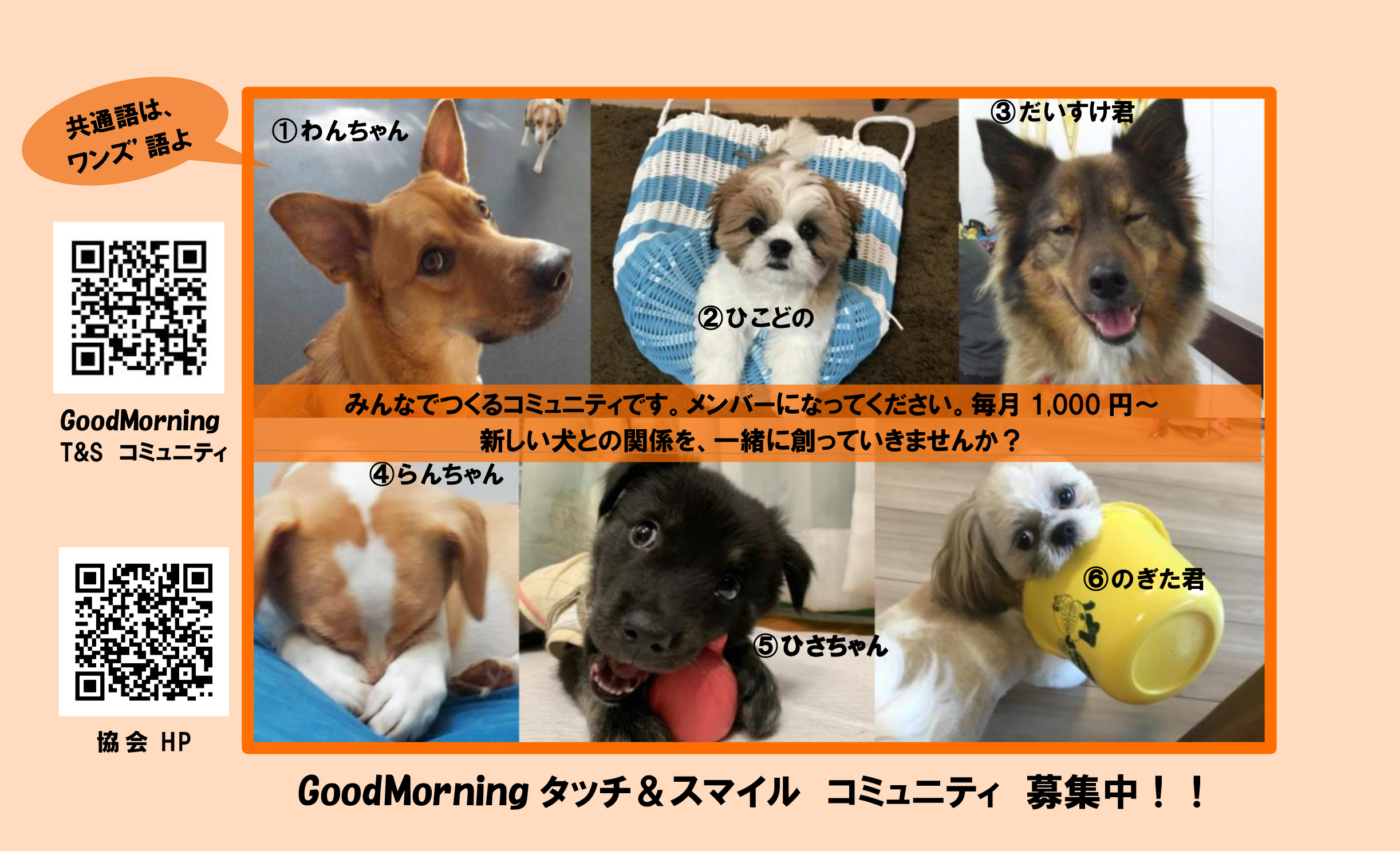 日本聴導犬協会 日本聴導犬協会