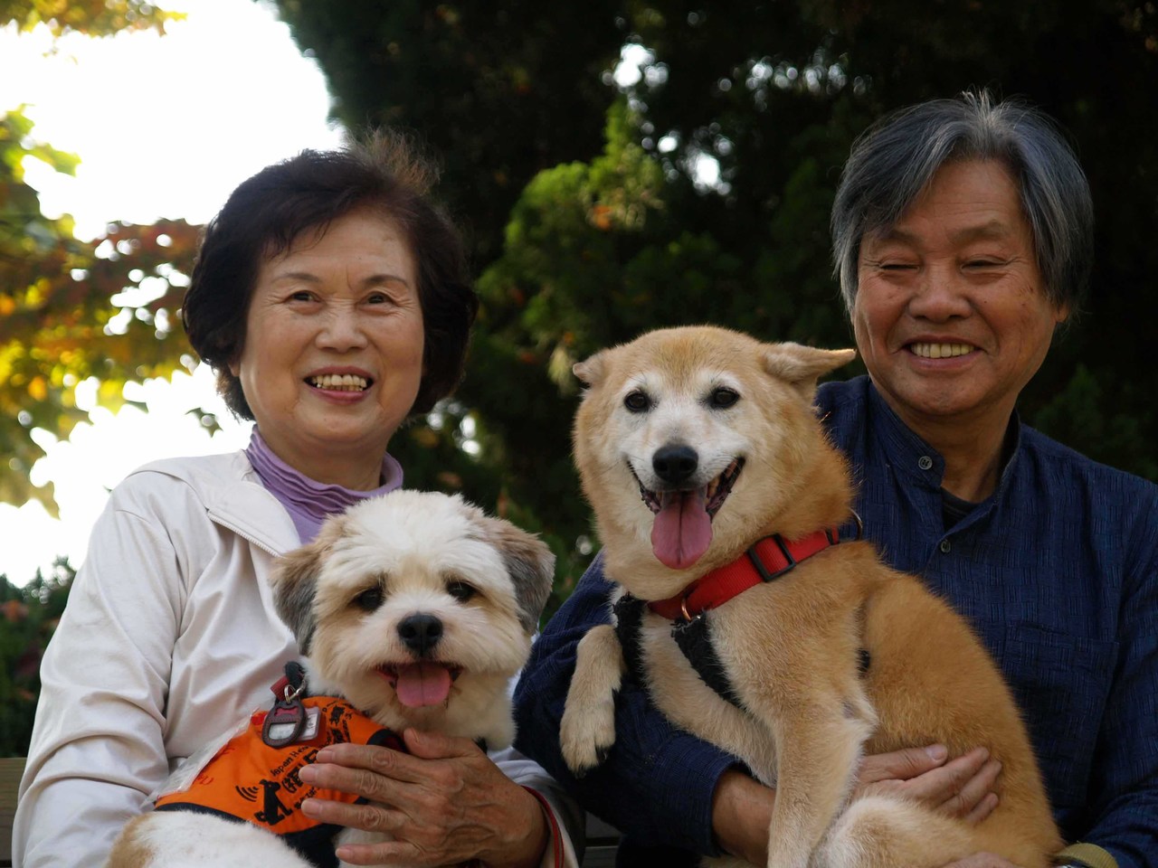元聴導犬みかん(柴ミックス)と聴導犬しん君（シーズー）のユーザー岸本宗也「全日本聴導犬ユーザーの会」会長と奥様の淑子元理事。相性の良さで、後任の聴導犬に、しん君が選ばれました。