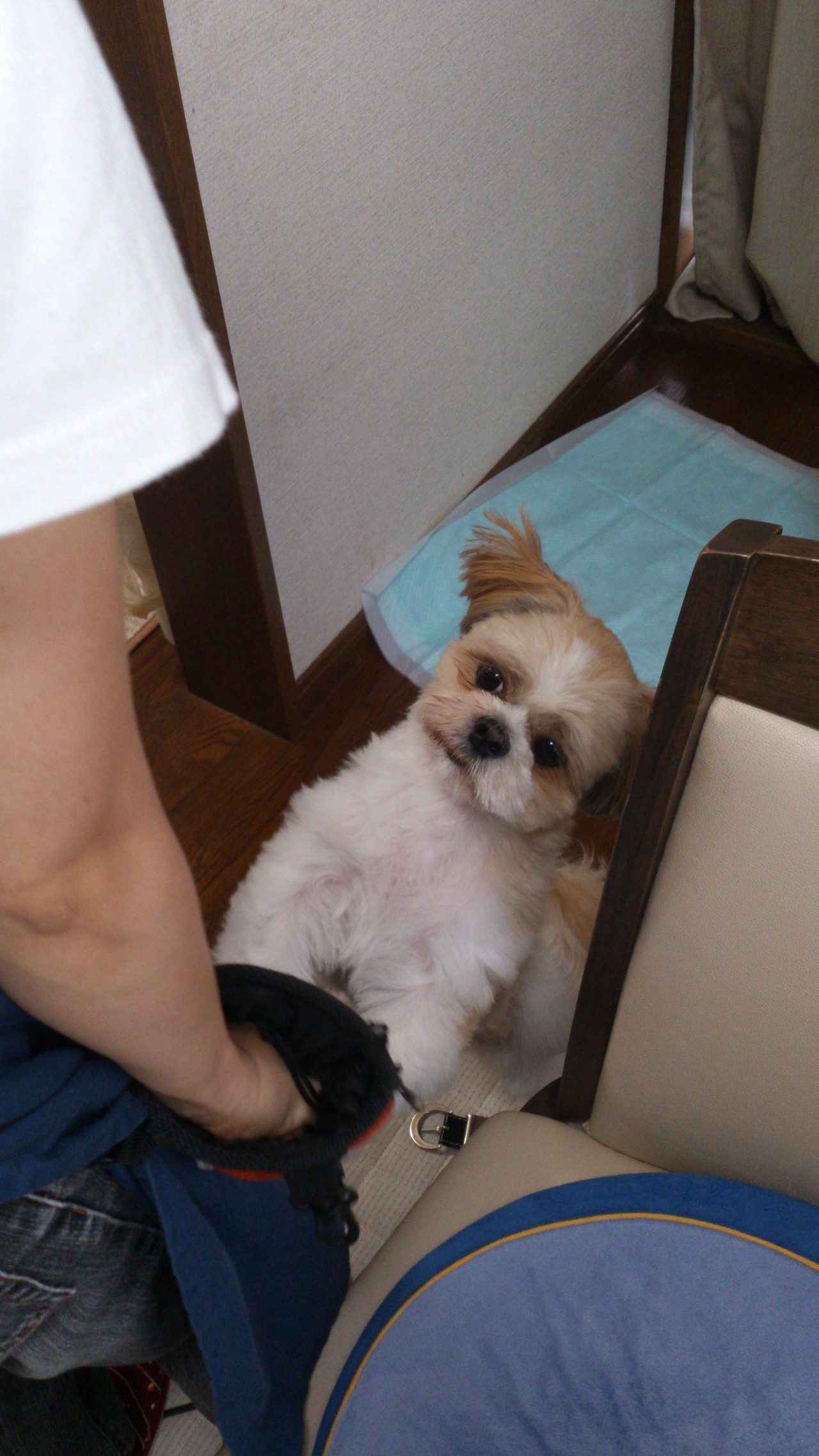 タイトルなし