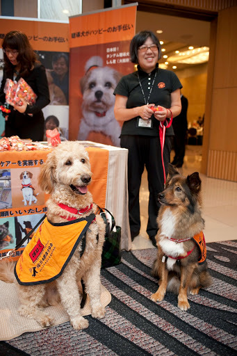 受付でお迎えするPR犬でん君(左)とだいすけ君（右）