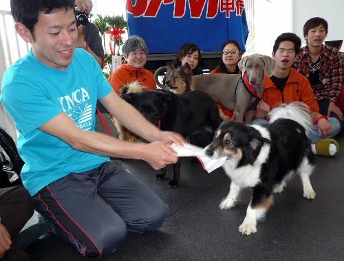 たくさんの募金は協会犬が受け取りました。