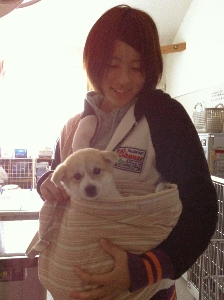 タイトルなし