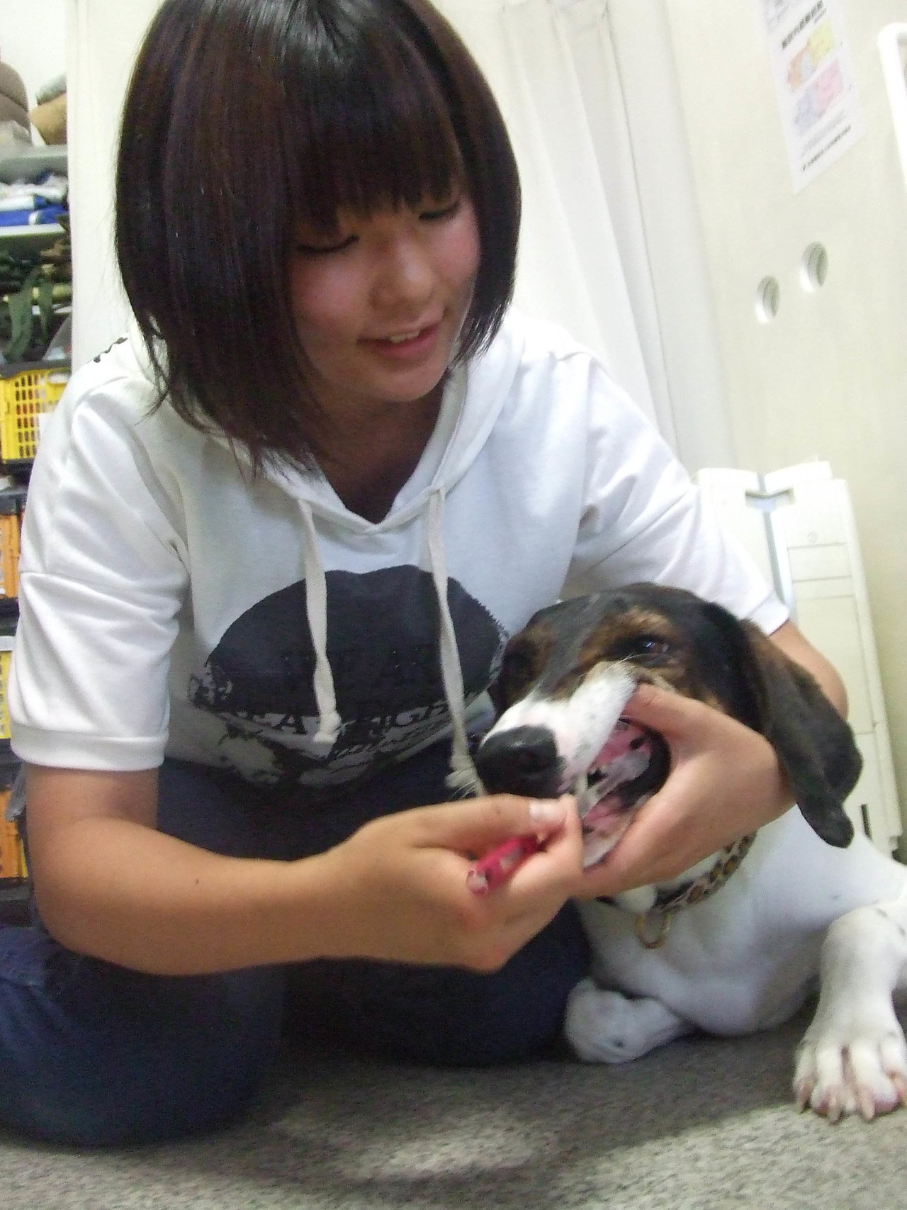 タイトルなし
