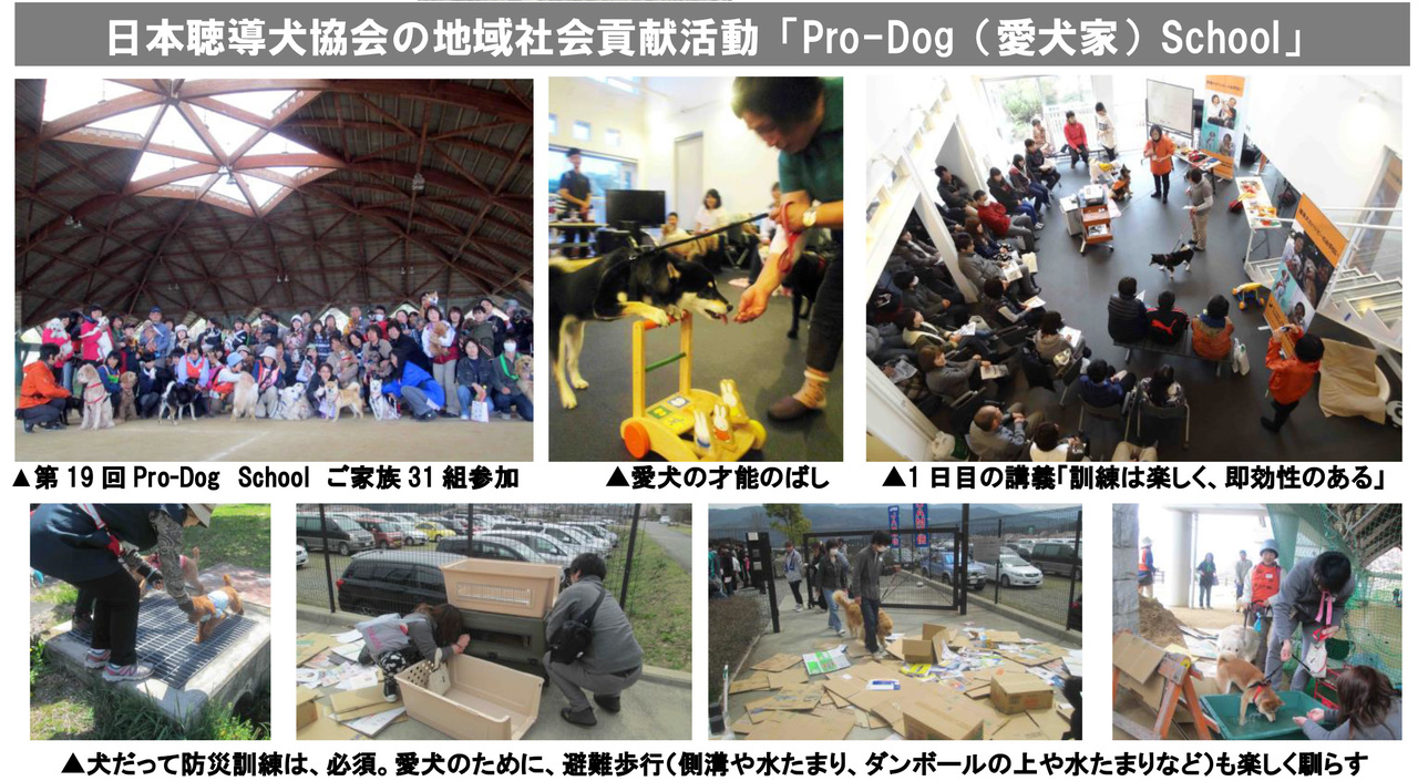 愛犬家による愛犬家のためのPro-Dog（愛犬家）School