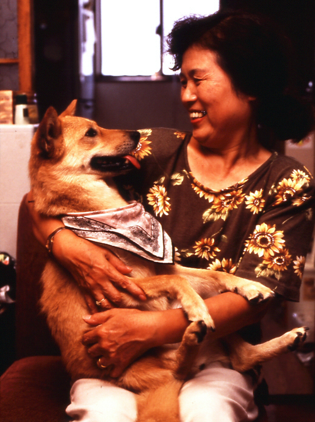 hearing Dog Mikan