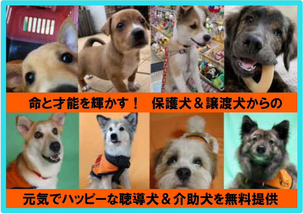 タイトルなし