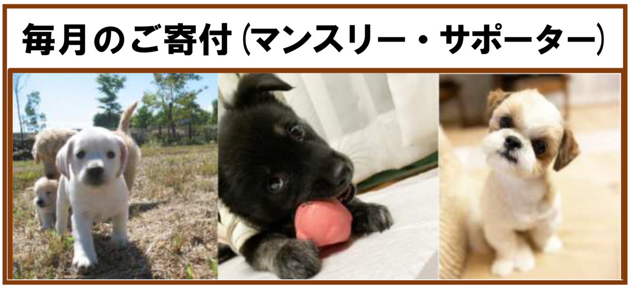 タイトルなし