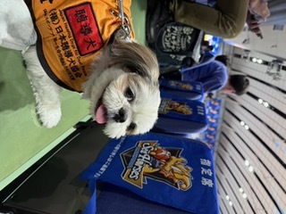 バスケットボール観戦　なかなかの働きぶり！